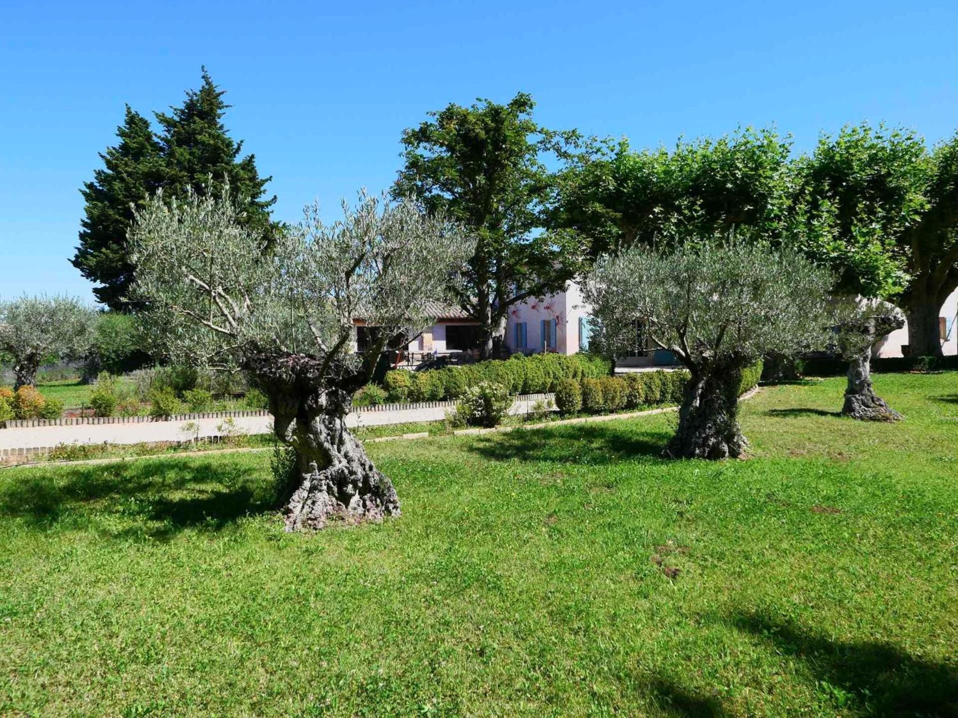 Typical Provencal Farm House Close To L'Isle Sur La Sorgue - 12 Persons Cavaillon Exterior photo