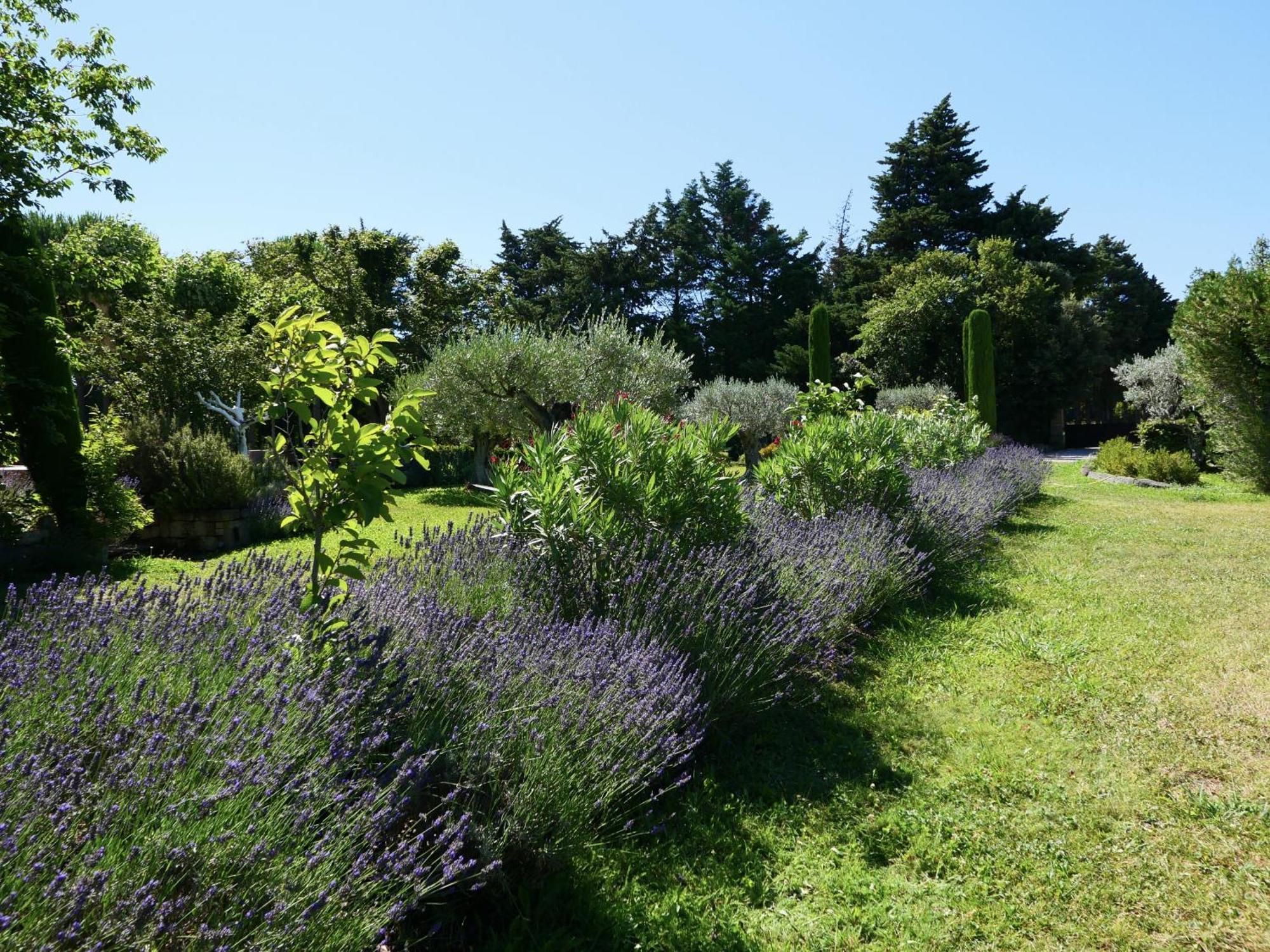 Typical Provencal Farm House Close To L'Isle Sur La Sorgue - 12 Persons Cavaillon Exterior photo
